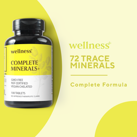 Wellness+ Complete Minerals+ 1000mg Zinc Calcium Magnesium 100 Tablets Combo