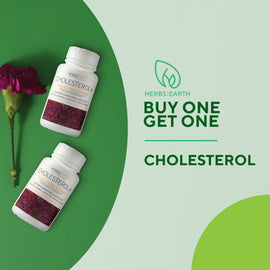 Cholesterol Control Support 60 Capsules Buy One Take One 30 Servings form Herbs of the Earth