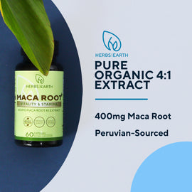 Maca Root Extract 4:1 1600MG 60 Capsules